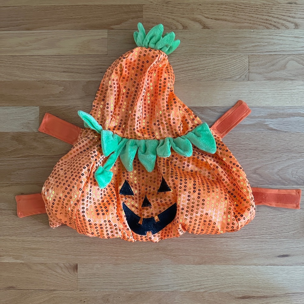 Jack-o-Lantern Pet Dog Costume Halloween Pumpkin Costume Size Small